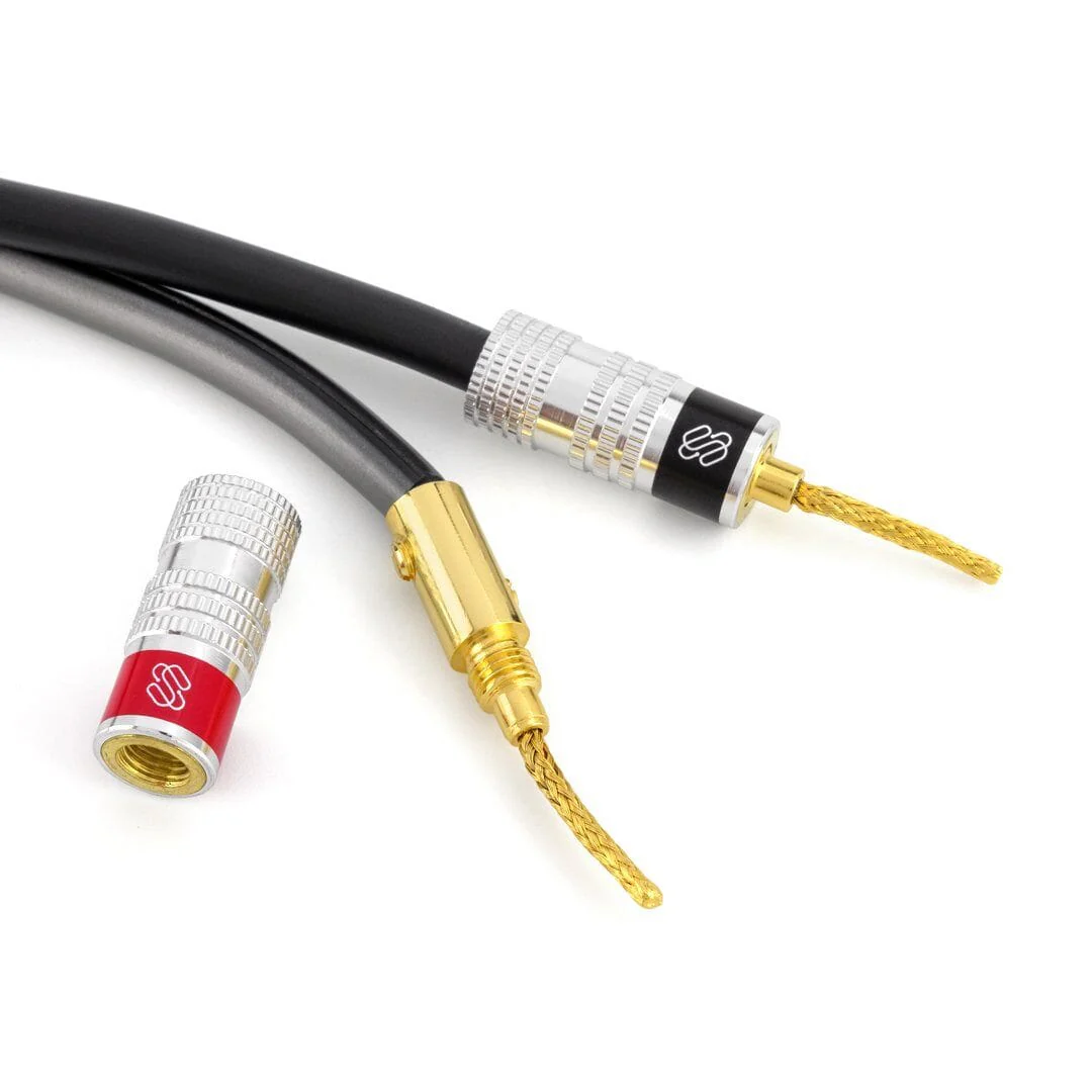Silverback Flex Pin Connectors(2025) for Speaker Wire – Dual-Screw, 24k Gold, Spring Terminal Speaker Wire Connectors (Up to 10 AWG) - Image 4