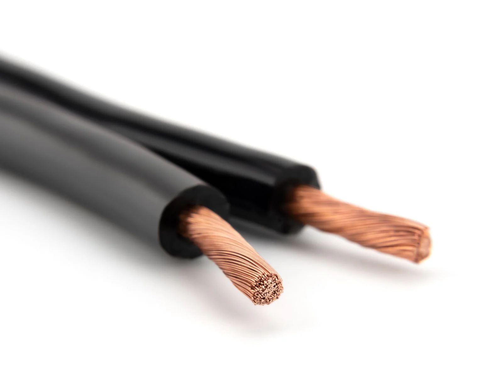 Silverback 10 AWG Speaker Wire – Oxygen-Free Copper, 259 Strand, High-Performance Audio Cable (CL3 Rated) - Image 3